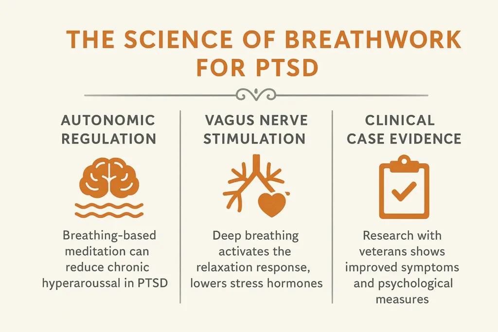 the science of breathwork for PTSD